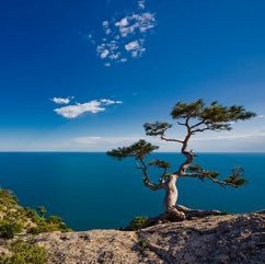 Alice et les souvenirs de la mer. На море