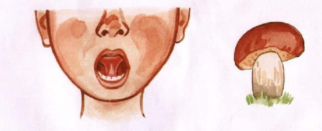 Conseil pour rouler les R en russe : mettre sa langue en forme de champignon Dessin explicatif de la position de la langue nécessaire pour rouler les R
